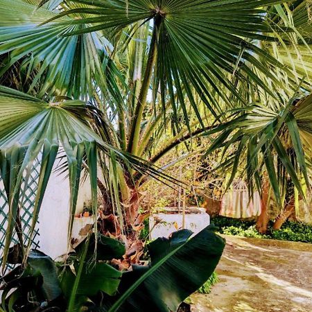 Cozy 3 Bedroom Home - Close To Beach Lourinha  Exterior photo