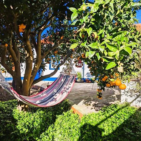Cozy 3 Bedroom Home - Close To Beach Lourinha  Exterior photo