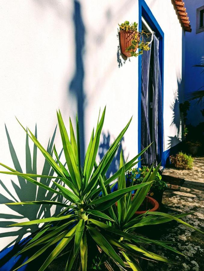 Cozy 3 Bedroom Home - Close To Beach Lourinha  Exterior photo